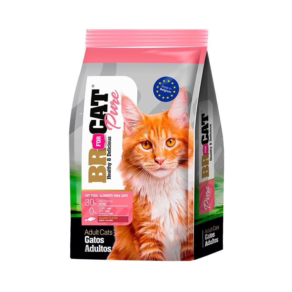 BR FOR CAT GATOS ADULTOS SALMON 1 KG